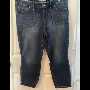 Skinny ankle jeans torrid size 18